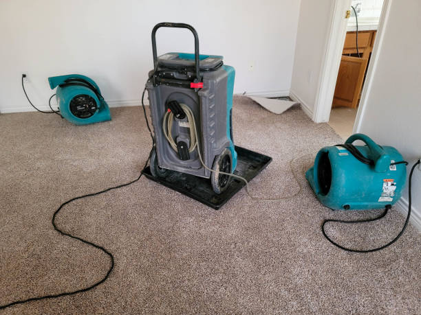 Best Water damage restoration services  in North Muskegon, MI