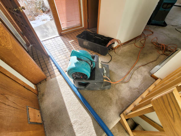  North Muskegon, MI Water damage restoration Pros