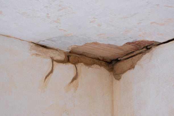 Sewage cleanup and water damage restoration in MI