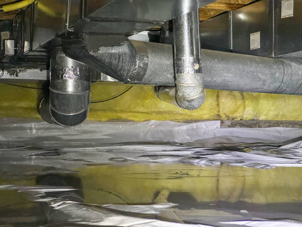 Best Professional water damage repair  in North Muskegon, MI