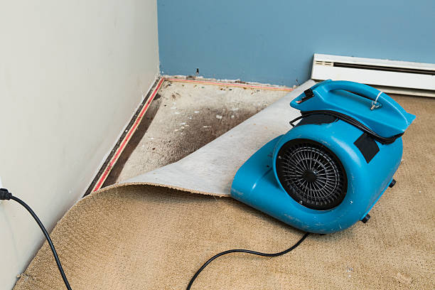 Best Water damage restoration near me  in North Muskegon, MI